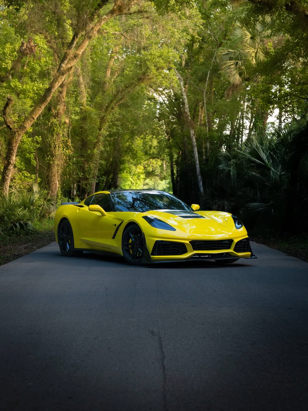 Yellow sports car on a wooded road