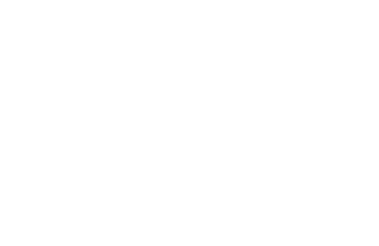Silva Studios